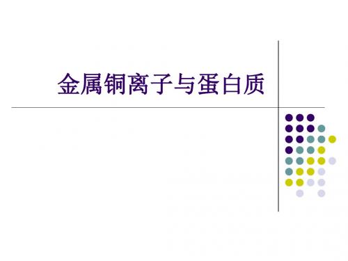 金属铜离子与蛋白