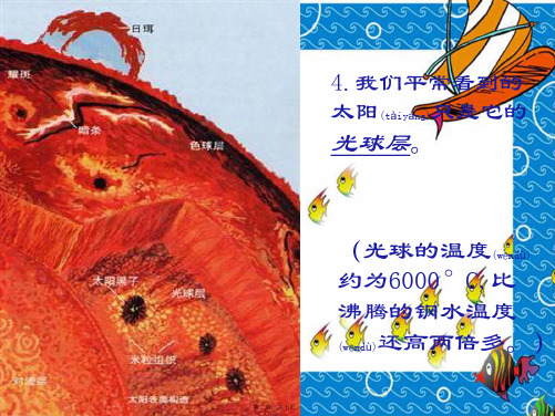 七年级科学上：1.3 最近的恒星——太阳课件华东师大