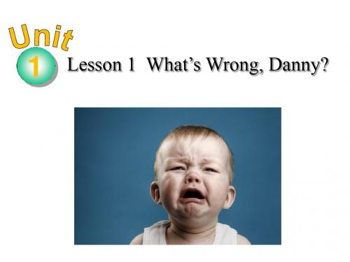 冀教版九年级英语  Unit 1 Lesson 1What’s Wrong, Danny(共25张PPT)