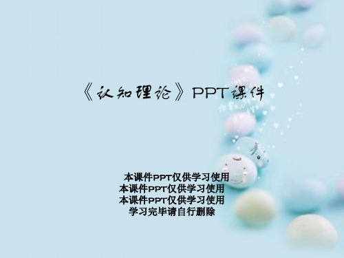 《认知理论》PPT课件