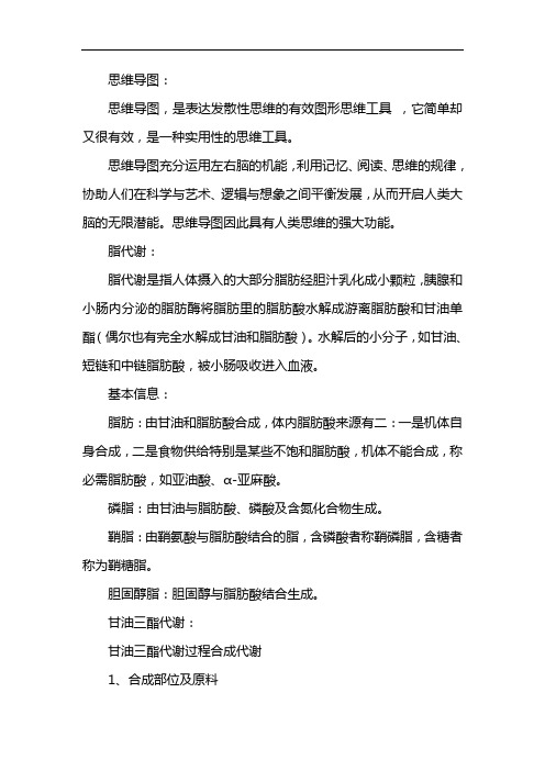 脂代谢思维导图