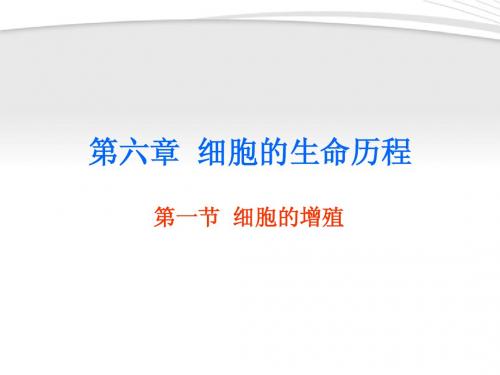 1-6-1 细胞的增殖