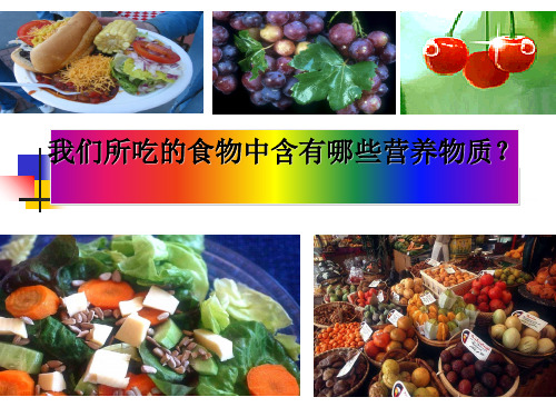 九年级上《食物的消化与吸收》课件ppt浙教版