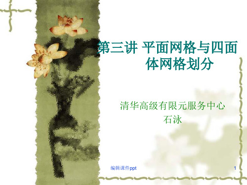 hypermesh平面网格划分