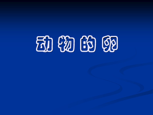 6动物的卵
