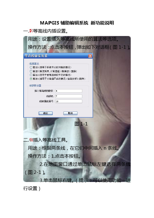 Mapgis辅助编辑系统 新功能说明