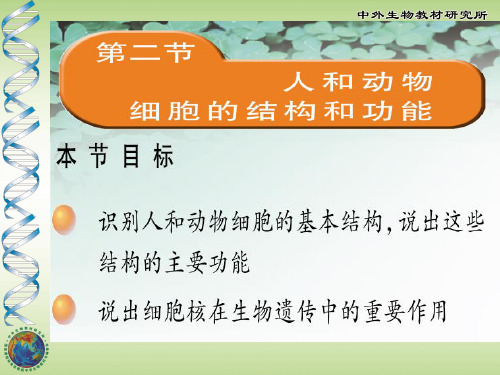 人和动物细胞的结构和功能