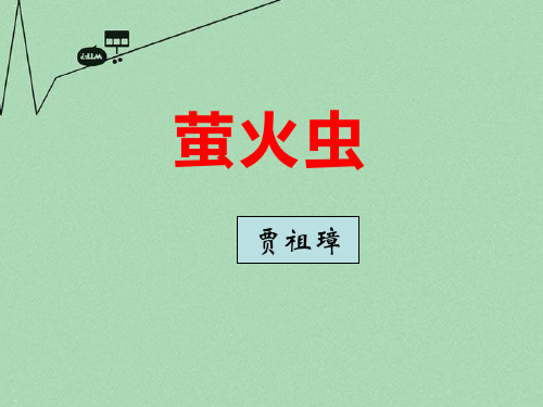 萤火虫_PPT