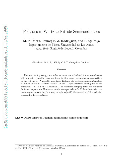Polarons in Wurtzite Nitride Semiconductors