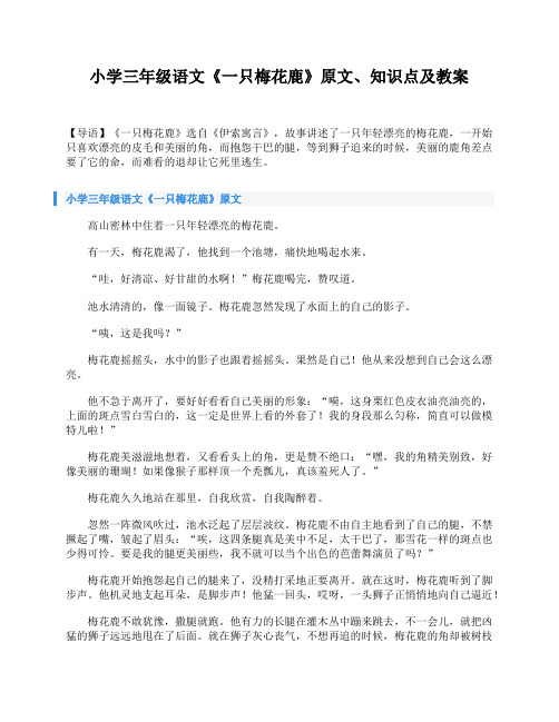 小学三年级语文《一只梅花鹿》原文、知识点及教案