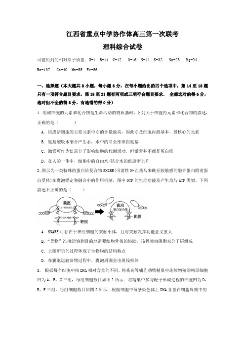 2019届江西省高三联合模拟考试理综试题(Word版29)