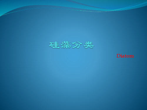 硅藻分类