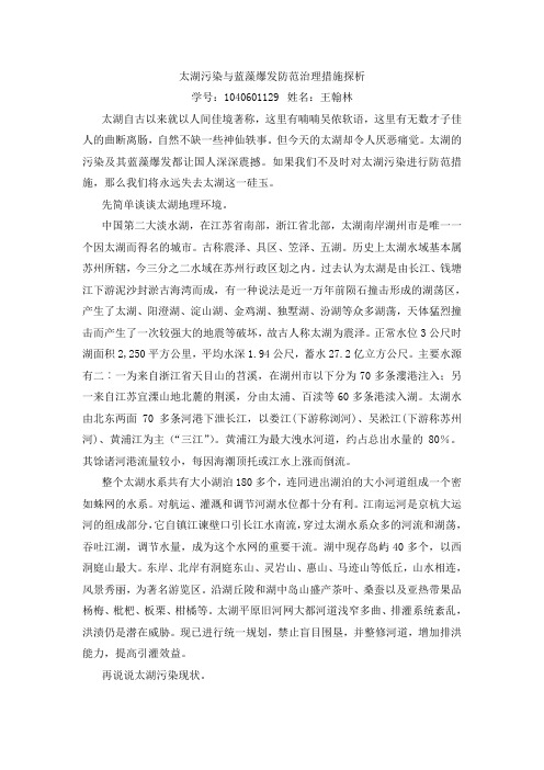 太湖污染与蓝藻爆发防止措施探析