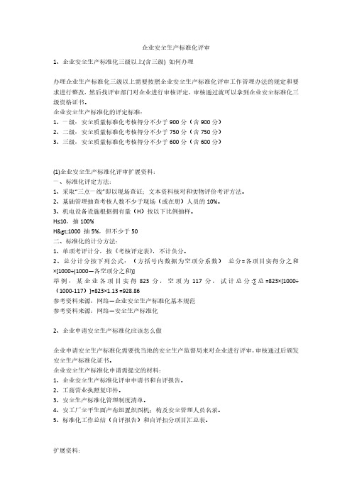 企业安全生产标准化评审安全生产