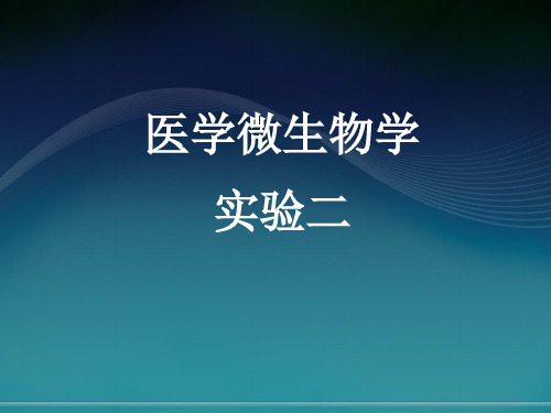 医学微生物学：实 验 二  细菌的接种和培养