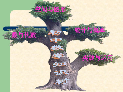 初中数学知识树图要点