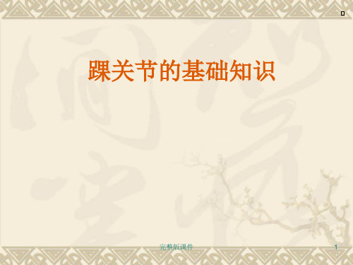 踝关节的基础知识ppt课件