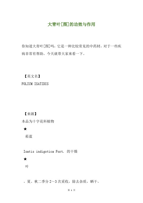大青叶[图]的功效与作用