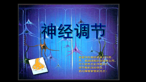 第1课时-通过神经系统的调节PPT课件