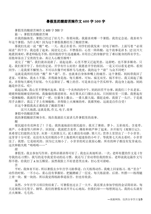 暑假里的酸甜苦辣作文600字500字