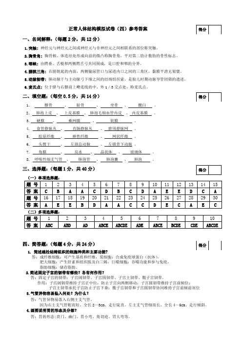 正常人体结构模拟试卷(四)参考答案