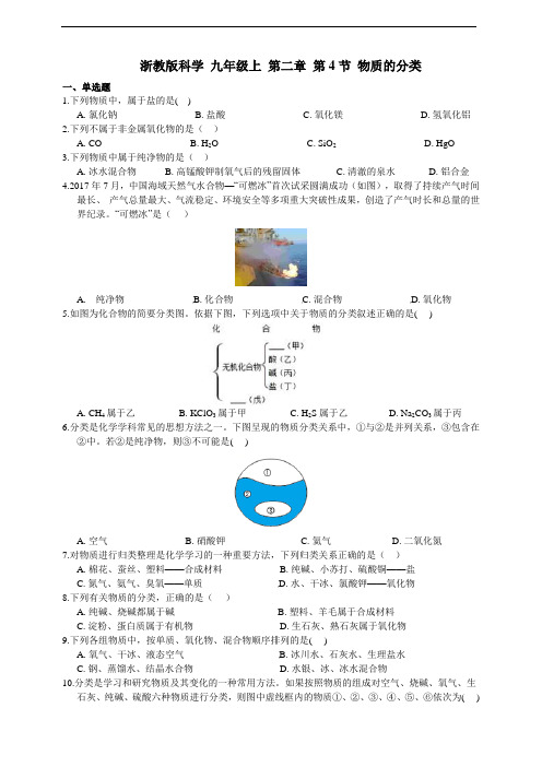 浙教版科学 九年级上 第二章 第4节 物质的分类 同步练习(含解析)