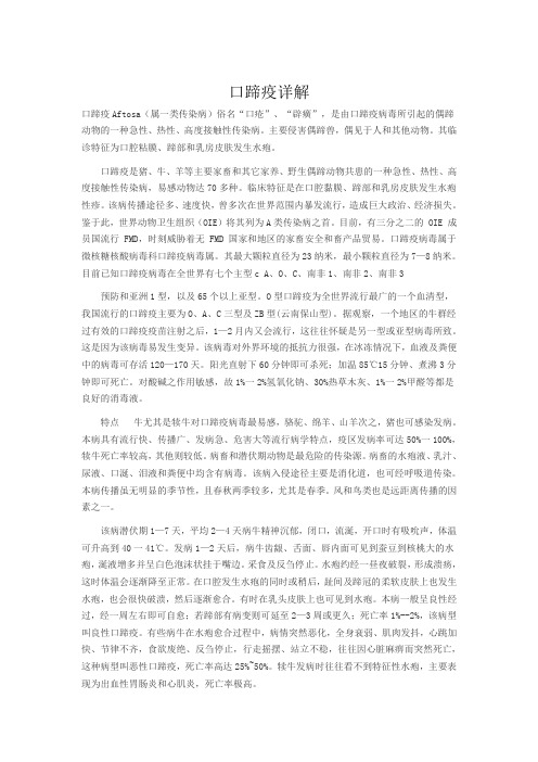 口蹄疫详解