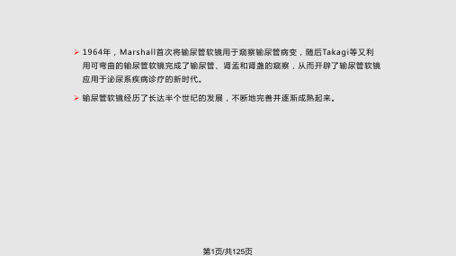 输尿管软镜在复杂性上尿路结石治疗中的应用研究PPT课件