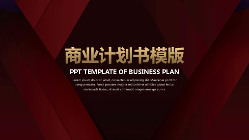 (专家推荐)高端大气商业计划书PPT模版