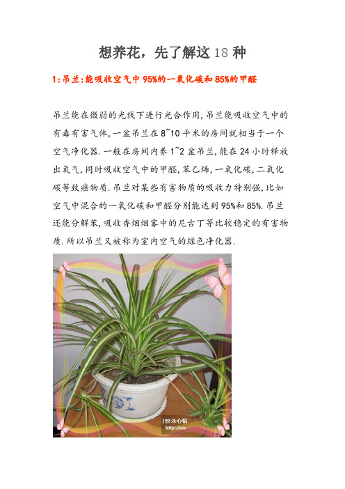 想养花,先了解这18种