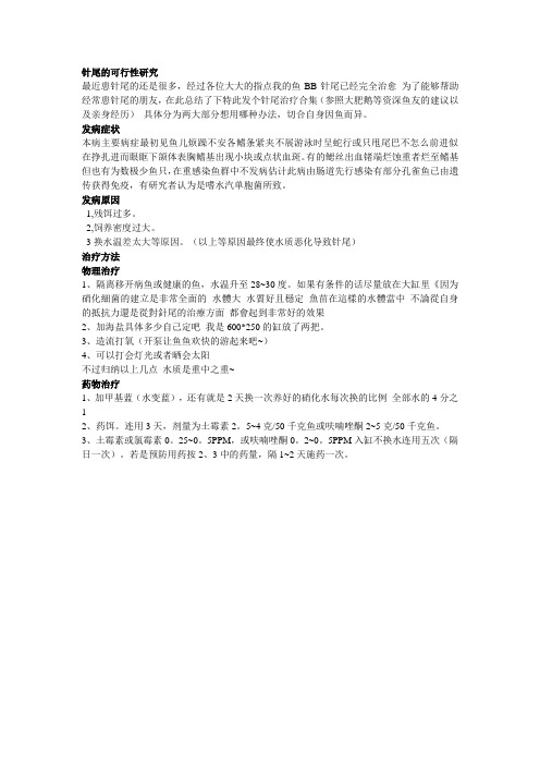 针尾的可行性研究