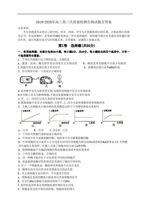 2019-2020年高三第三次质量检测生物试题含答案