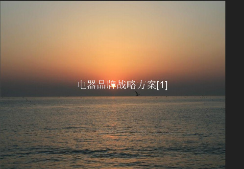 电器品牌战略方案PPT课件模板