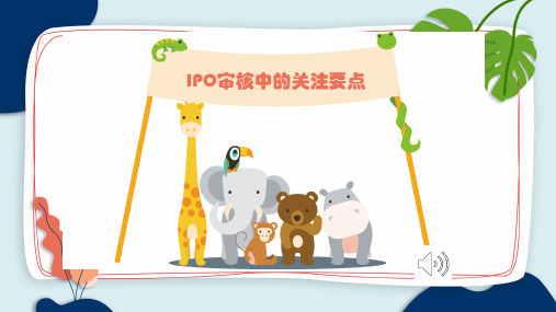 IPO审核要点