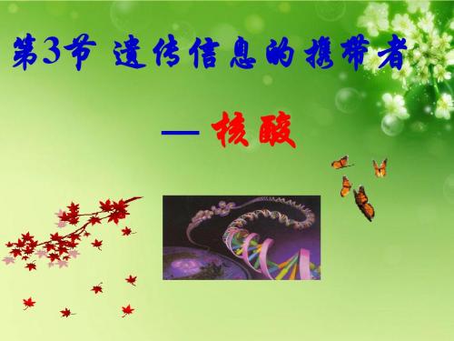 高中生物《第二章 第三节 遗传信息的携带者 核酸》课件3 新人教版必修1