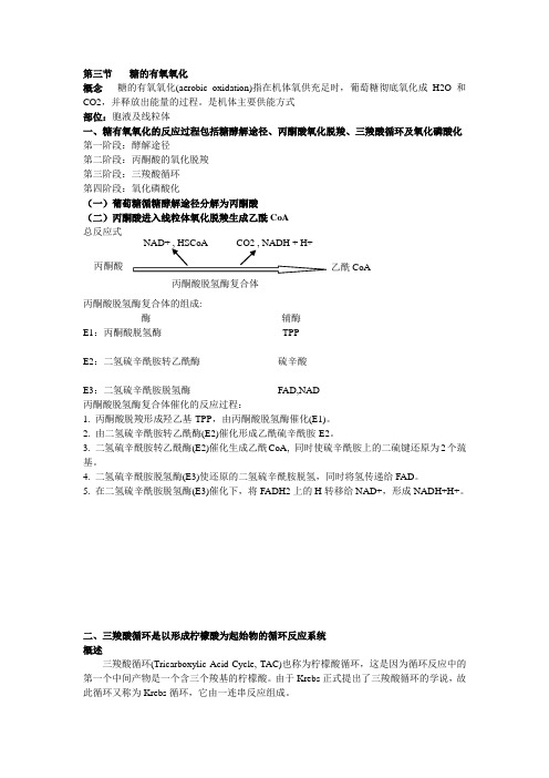 糖的有氧氧化