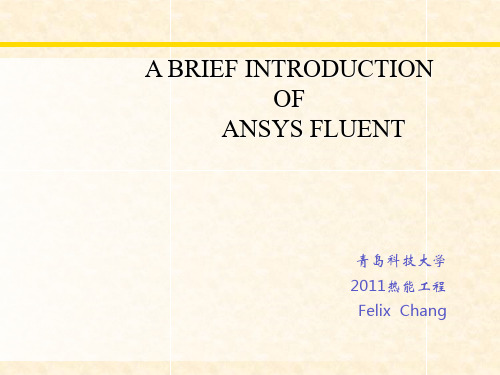 FLUENT 简介