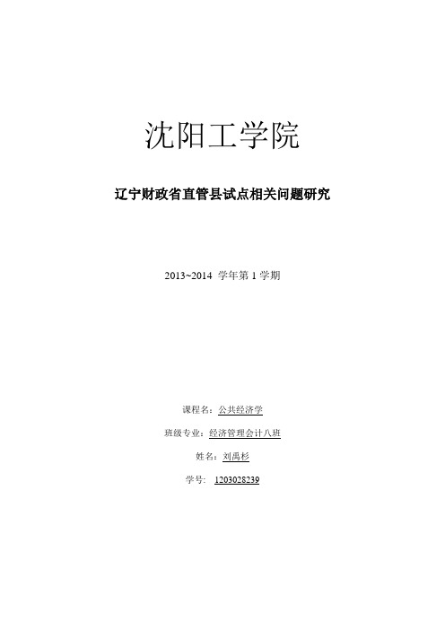 辽宁财政省直管县试点相关问题研究(同名21767)