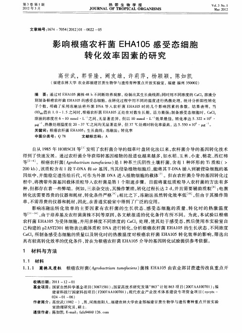 影响根癌农杆菌EHA105感受态细胞转化效率因素的研究