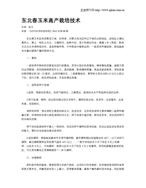 东北春玉米高产栽培技术