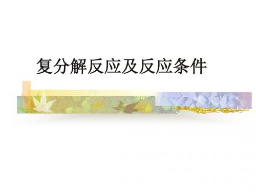 复分解反应1