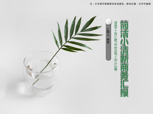 简洁小清新商务汇报PPT模板