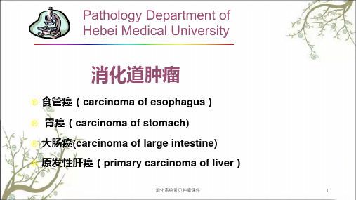 消化系统常见肿瘤课件