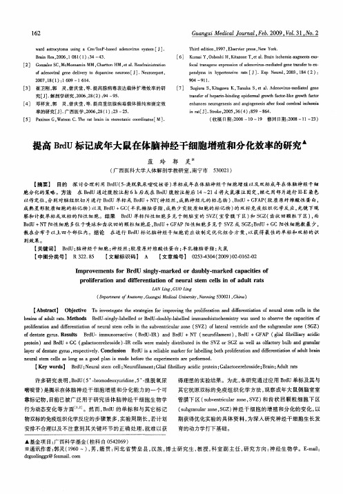 提高BrdU标记成年大鼠在体脑神经干细胞增殖和分化效率的研究