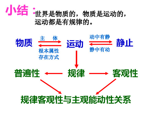 《意识的本质》(新人教版08版必修PPT课件
