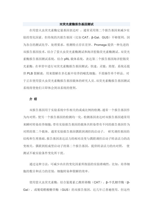 双报告