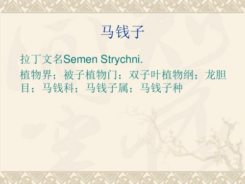 马钱子