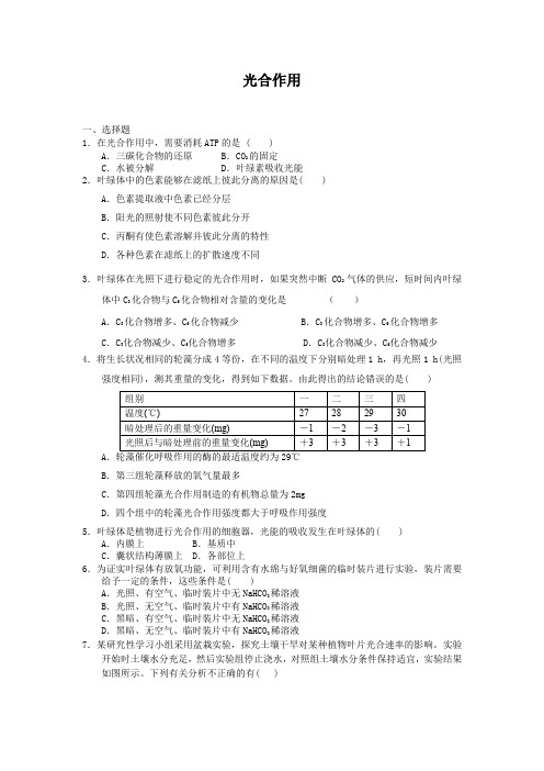 3.5光合作用每课一练31(浙科版必修1)