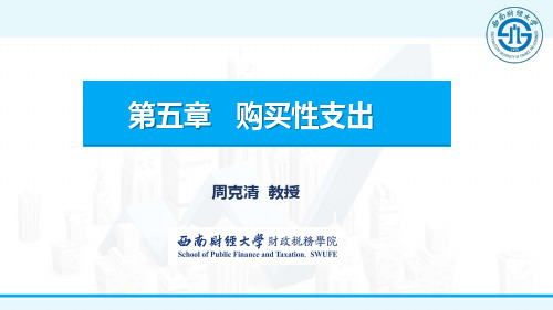 公共投资支出