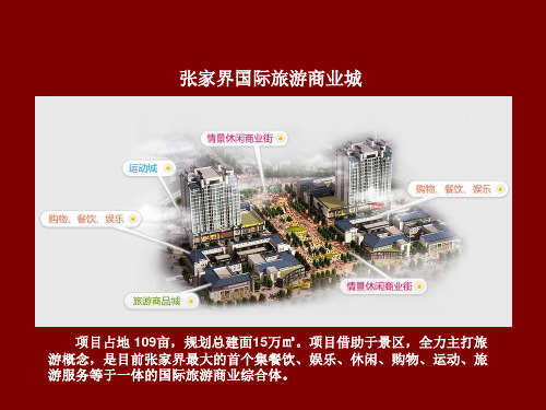 张家界国际旅游商业城